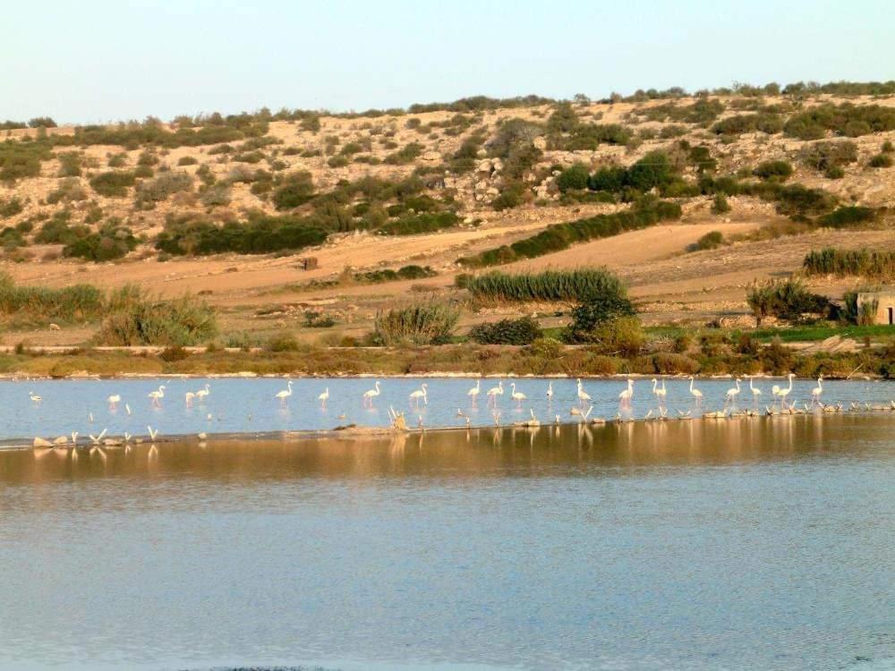 شقة Dar Doukkala الوالدية المظهر الخارجي الصورة